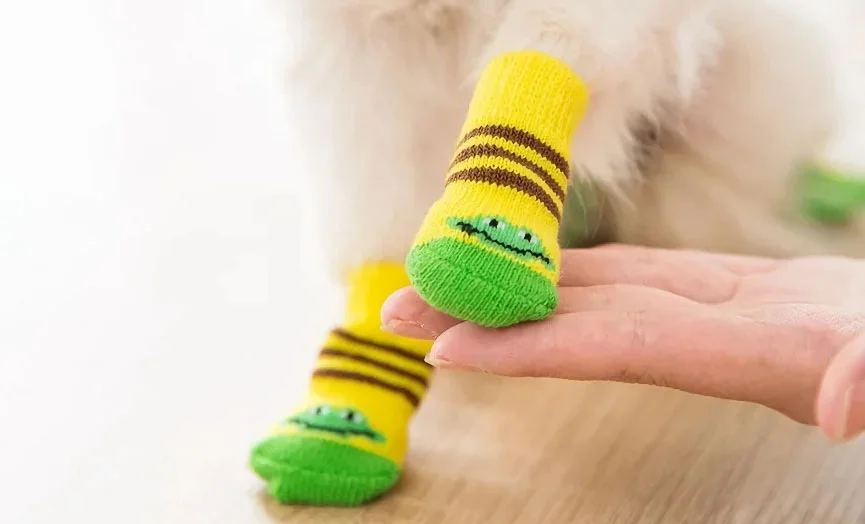 Fashionable Socks for Dogs 4 Pack