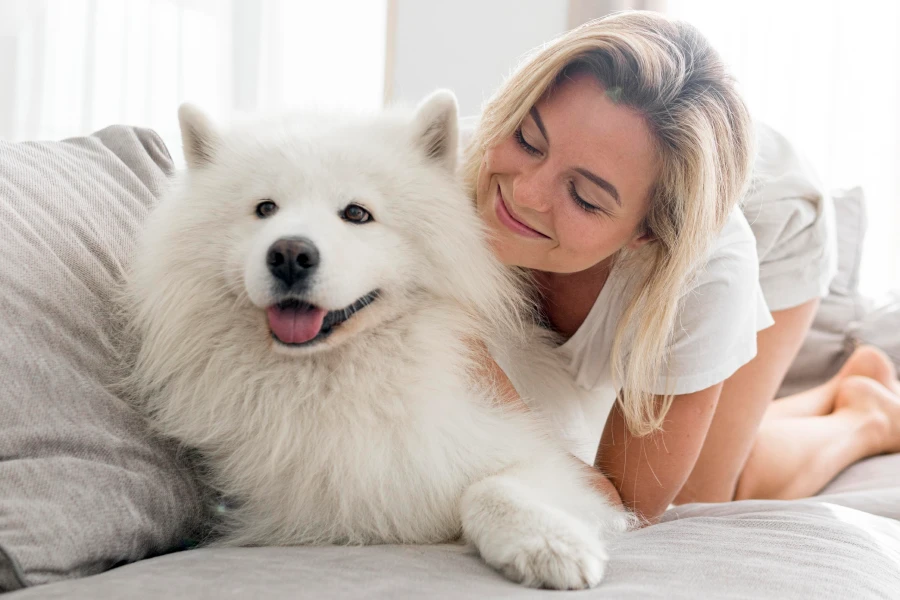 Efficient Deshedding Glove for Pets