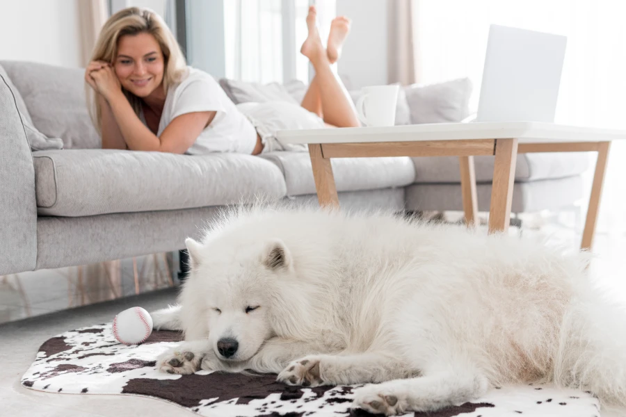 Dual-Sided Grooming Glove for Pets