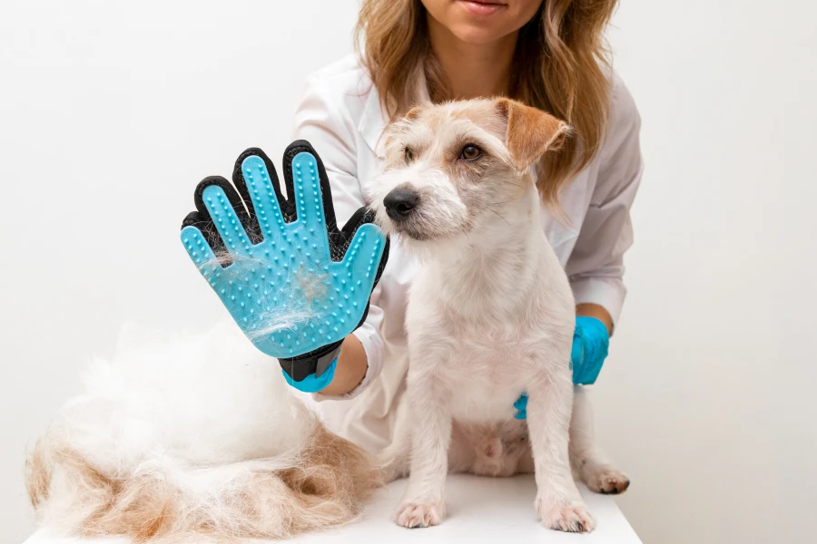 Dual-Sided Grooming Glove for Pets