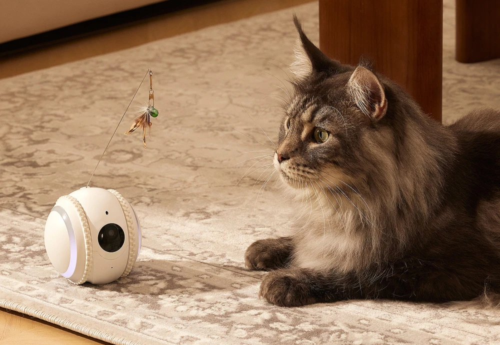 best indoor cameras for pets