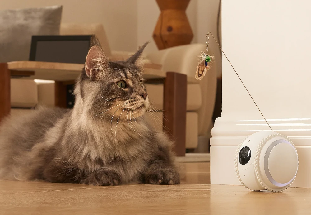 home pet camera