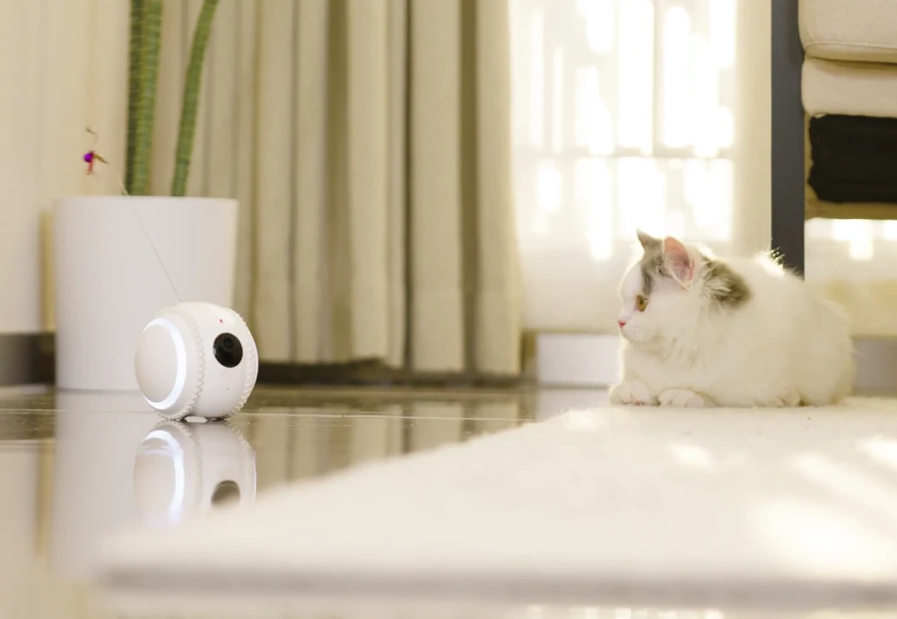 indoor camera pet