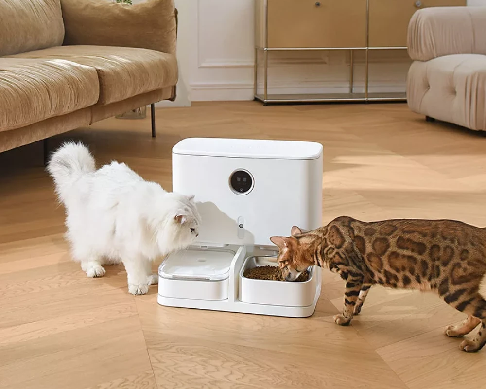 top pets automatic pet feeder