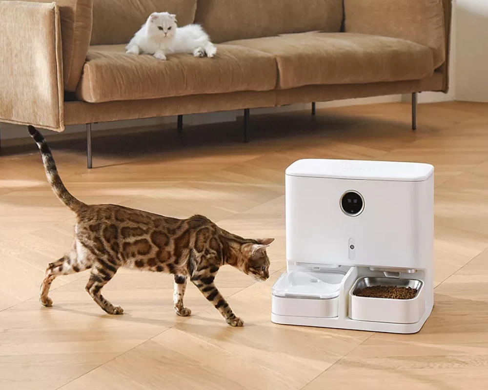 automatic water feeder for dogs